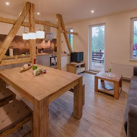 Апартаменты Auszeit-im-harz Haus 2 1