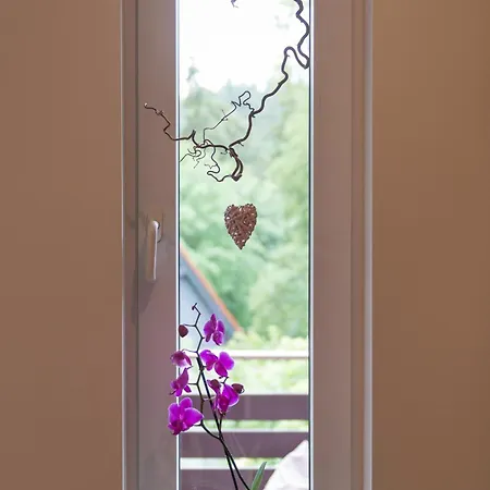 Апартаменты Auszeit-im-harz Haus 2 1 *