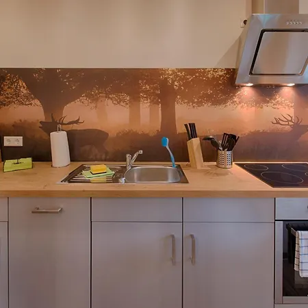 Auszeit-im-harz Haus 2 1 *