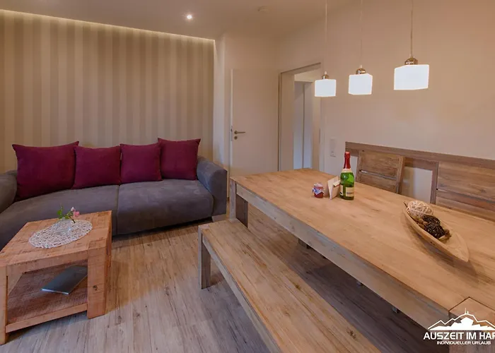 Auszeit-im-harz Haus 2 1 Lägenhet *