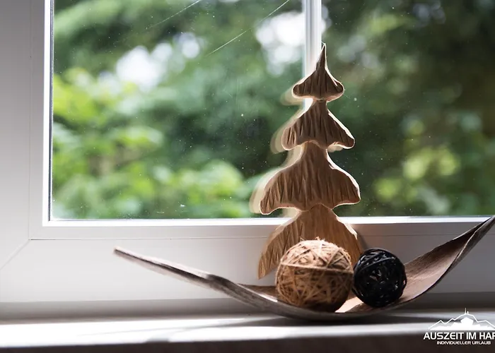 Lägenhet Auszeit-im-harz Haus 2 1