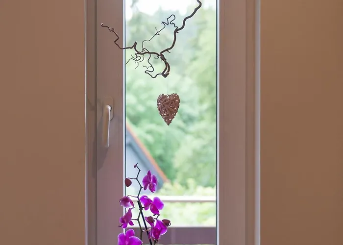 Lägenhet Auszeit-im-harz Haus 2 1 *