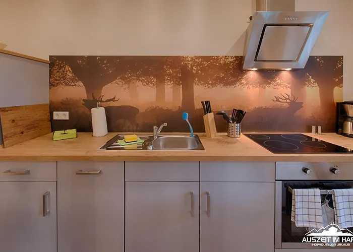 Auszeit-im-harz Haus 2 1 *