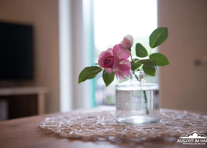 Auszeit-im-harz Haus 2 1 Lägenhet